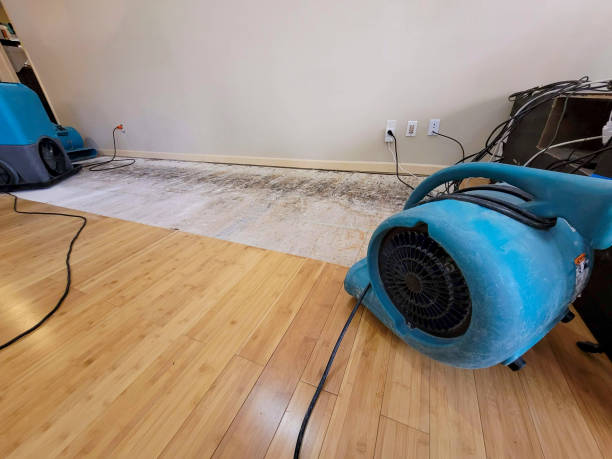 Reliable Basement Flood Cleanup contractor in Skillman, NJ by Hirex Water Damage