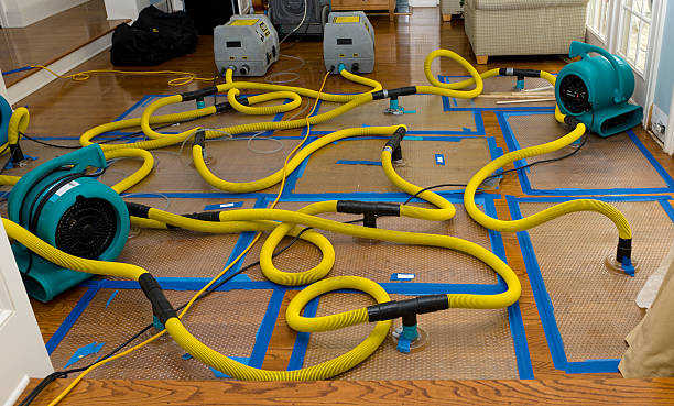 Professional Basement Flood Cleanup technician working in Skillman, NJ